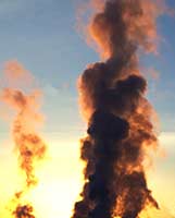 Humo Negro homo-negro