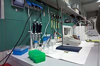 Optogenetics optogenetics